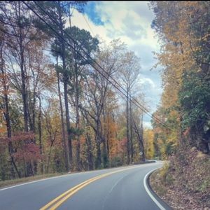 Meet your Posher, Michele